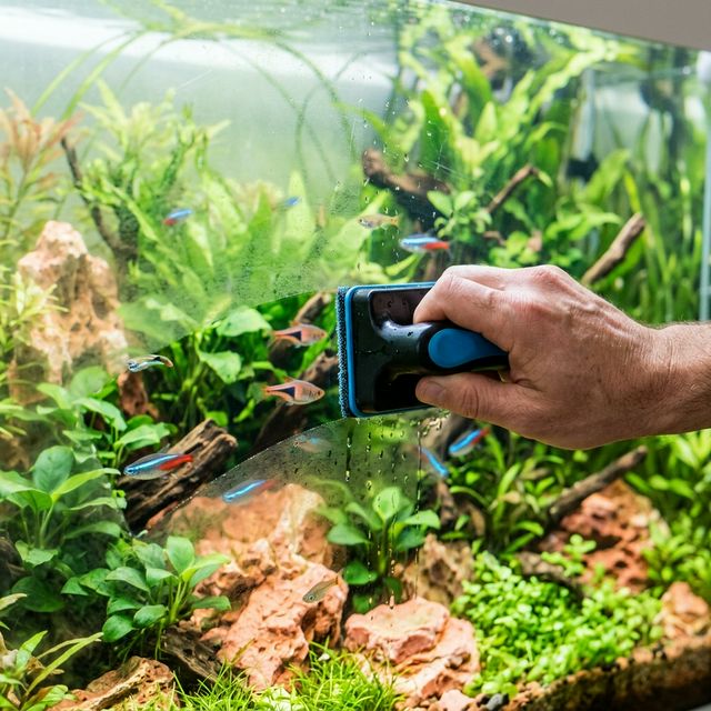 Магнітний скребок для чищення скла