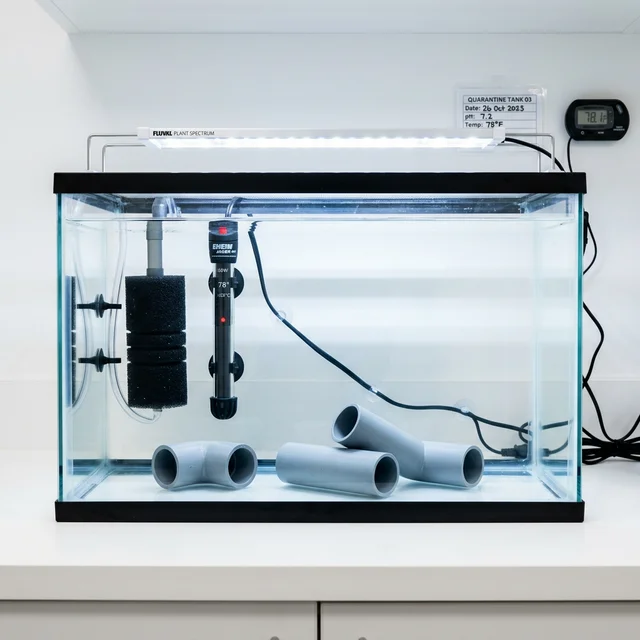 Належний карантинний акваріум