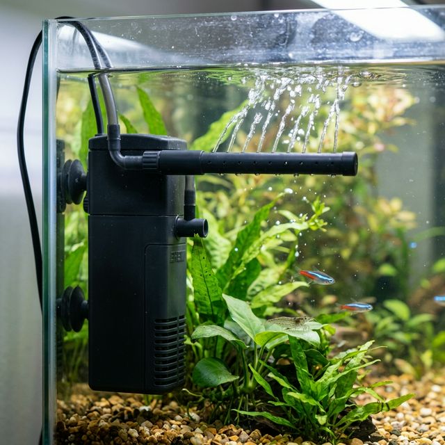Внутрішній акваріумний фільтр у роботі