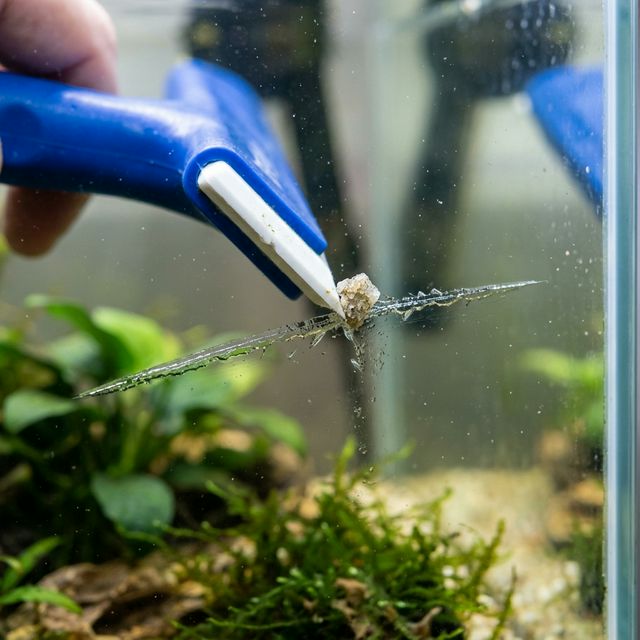 Небезпека піску для скла