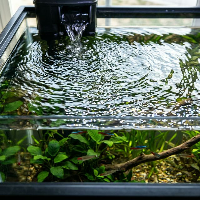 Коливання поверхні води