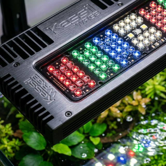 Детальне фото професійного WRGB LED світильника