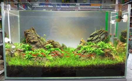 Морський нано акваріум