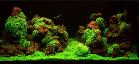 Морський акваріум